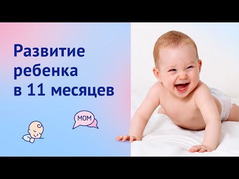 Развитие ребенка в 11 месяцев