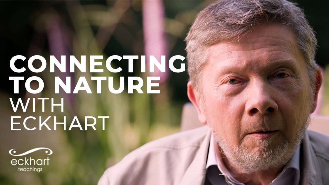 Connecting with Nature | A Doorways into Presence miniseries, Part 3