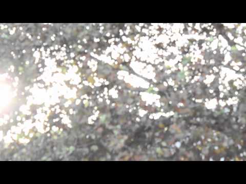 João Só e Abandonados - Vamos a jogo