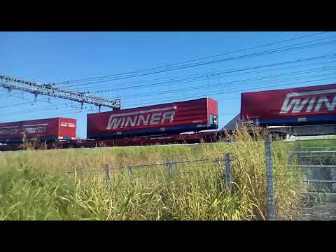 Winner Spedition.....