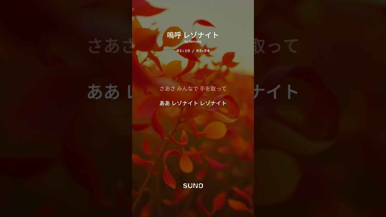嗚呼 レゾナイト ジャケット