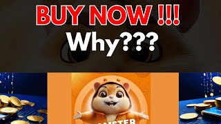 Hamster Kombat Update: Buy These Cards NOW!!! Very Important