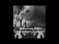 ZARATHRUSTRA; THE SHEEP LOOK UP