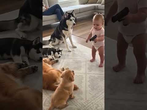 Doggy’s Hilarious Acting to Make the Baby Happy! 🐶🔫
