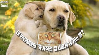 유튜브 썸네일