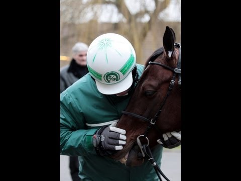 La Préparation de Maharajah en vue du Grand Prix d'Amérique