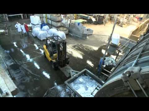 Firma Mooibedacht  5 januari 2012