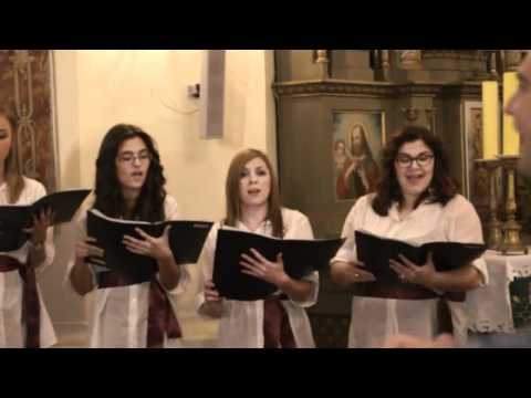 Zbor Allegro - Mladost šume