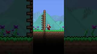 The Bug Terraria Refuses to Fix