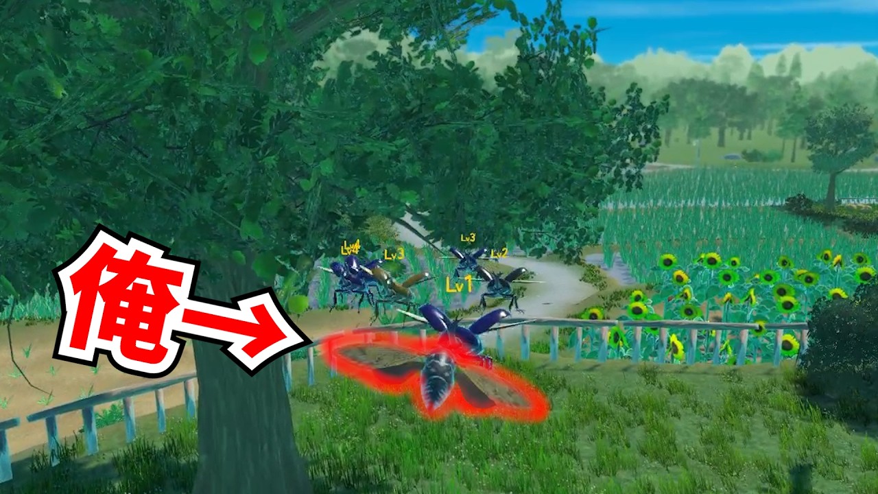 セミになって虫の王者を目指します 【 セミたちはどう生きるか 】