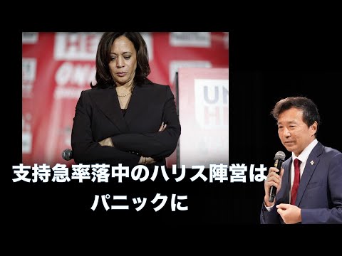 フエルサ・アエレア・メキシカーナについて詳しく解説