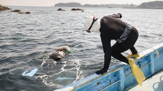 相差海女トラベル （相差海女文化資料館）