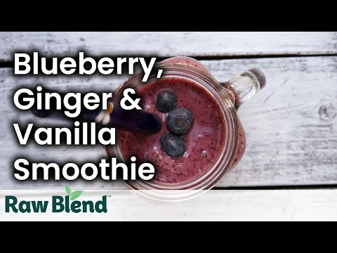 How to make a Blueberry, Ginger & Vanilla Smoothie in a Vitamix Blender | Recipe Video