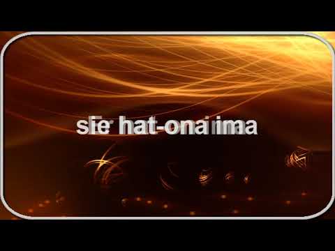 Nemački za početnike, nivo A1/1 (glagol Haben-imati) lekcija 21.