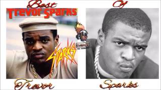 Trevor Sparks Best of Greatest Hits (Remembering Trevor Sparks) Mix By Djeasy