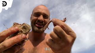 瀕死の肉食主義者に草を与えるホモサピエンスのシーンでもうダメだった - ディスカバリー流「生きるため」の3分クッキング【まとめ前編】