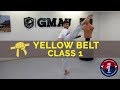 Taekwondo Follow Along Class Yellow Belt Class 1