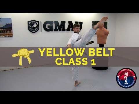 Taekwondo Follow Along Class - Yellow Belt - Class #1 thumbnail