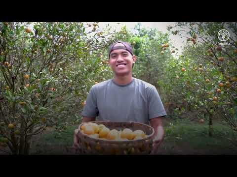 الأمم المتحدة | السلام والكرامة والمساواة<BR>على كوكب ينعم بالصحة