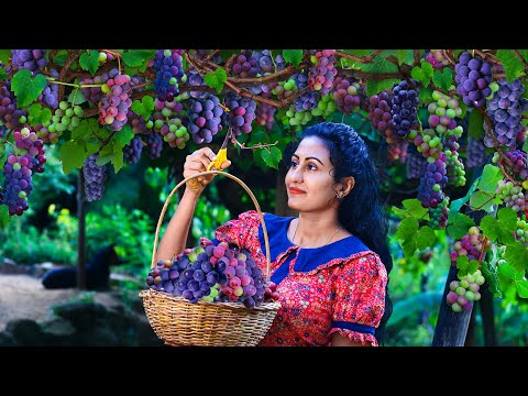 Grape wine delight!🍷 🍇 magical fruit for making jelly yogurt, halwa & more mouthwatering recipes!