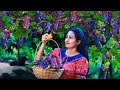 Grape Wine Delight Magical Fruit For Making Jelly Yogurt Halwa More Mouthwatering Recipes