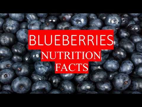 download lagu mp3 mp4 Blueberry Wine Nutritional Information, download lagu Blueberry Wine Nutritional Information gratis, unduh video klip Blueberry Wine Nutritional Information