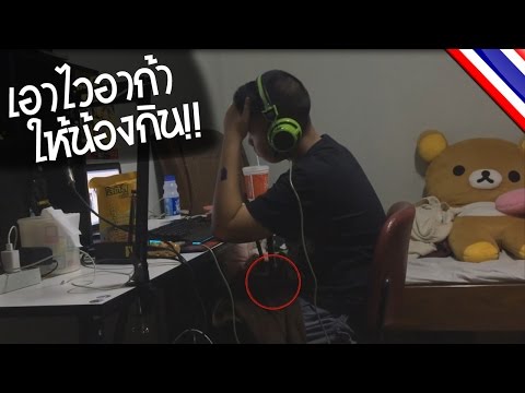 ยาเสพติดเพื่อเพิ่มความแข็งแรง เชื้อโรคม้าการกระทำของตน