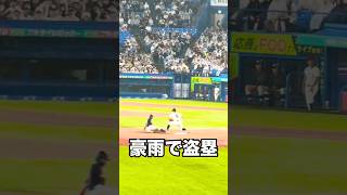 織田翔希×山田凛虎から盗塁を決めるバケモン境亮陽 #shorts