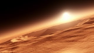 Templemans Daily - GET YOUR ASS TO MARS - Day 996