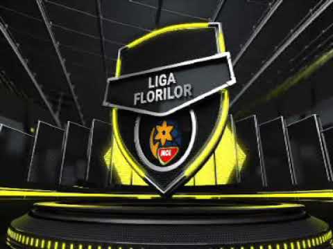 Handbal feminin - Liga Florilor, in direct la @TVR_online