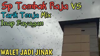 Download lagu Sp tombak raja vs tarik senja mix inap bayagan walet jadi jinak di Lmb mp3