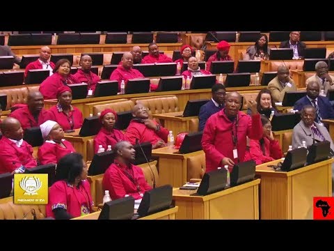 FUNNY - "Intellectually Challenged" vs Julius Malema And EFF