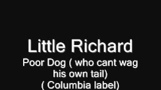 Poor Dog ( who cant wag his own tail).