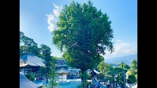 相州善福寺