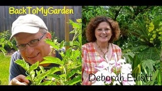 BTMG 093: Alabama Gardening Tips with Deb Elliott