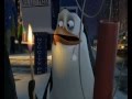 The Penguins Of Madagascar Merry Christmas Pingwiny Z Madagaskaru Wesołych Świąt