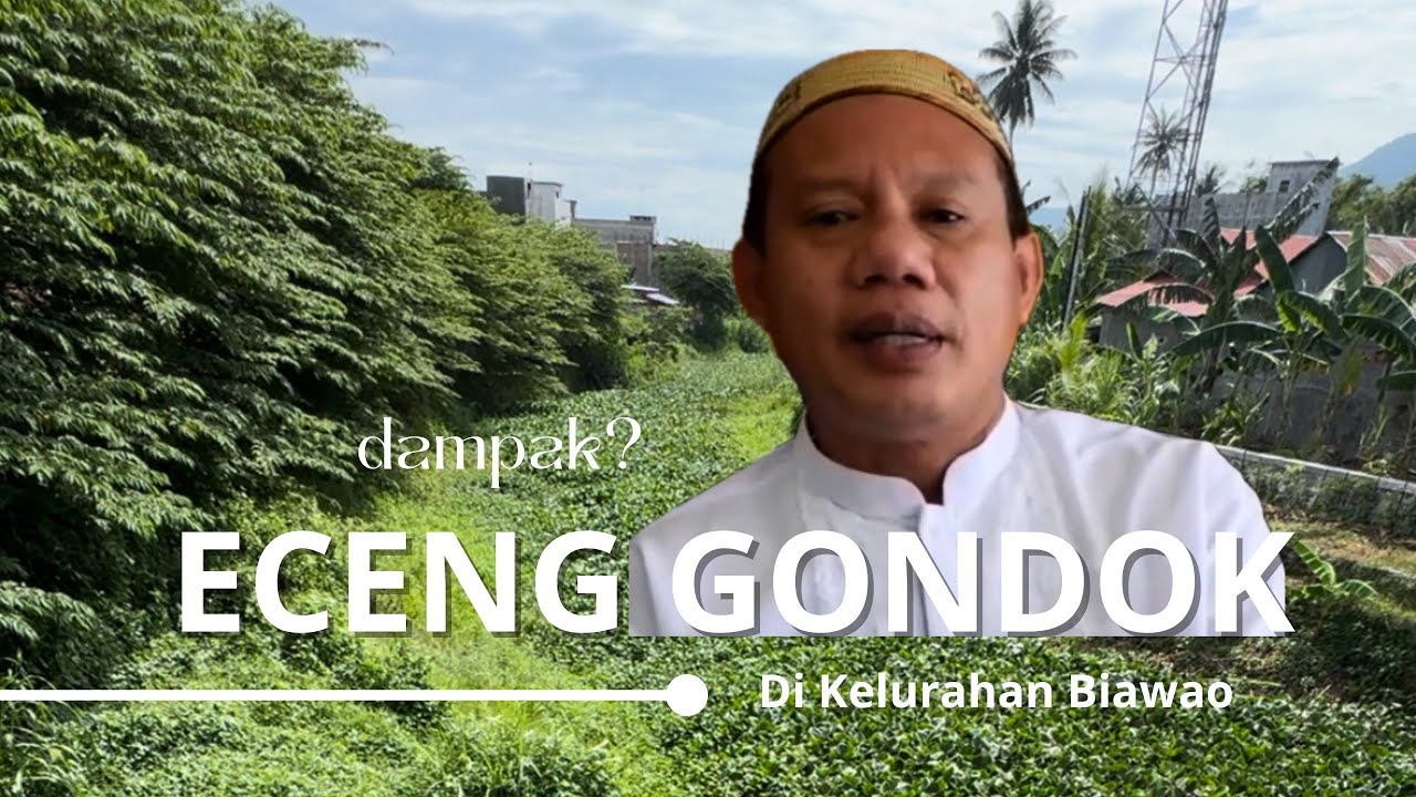 Eceng Gondok Menutupi Sungai Bone Di Kelurahan Biawao, Ini Respon Heryanto Thalib