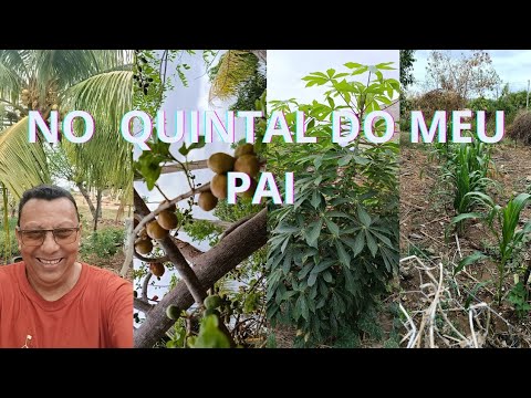 FAZENDO UMA VISITA NO QUINTAL DO MEU PAI