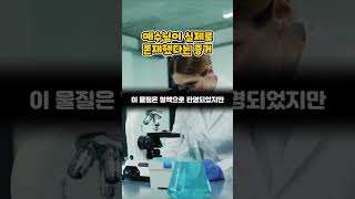 Download lagu 예수님이 실제 있었다는 증거 mp3