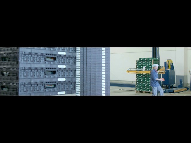youtube video background