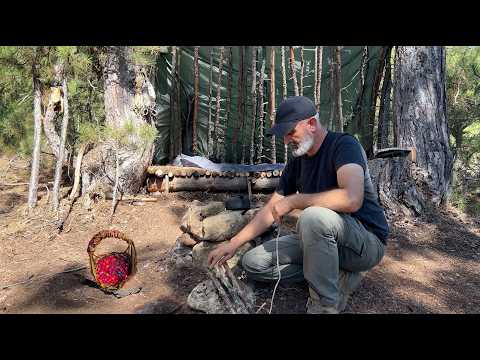 2 Days Solo Bushcraft; Cranberry Sherbet, Wild Plum Bread, Basket Weaving, Natural Shelter with Bed
