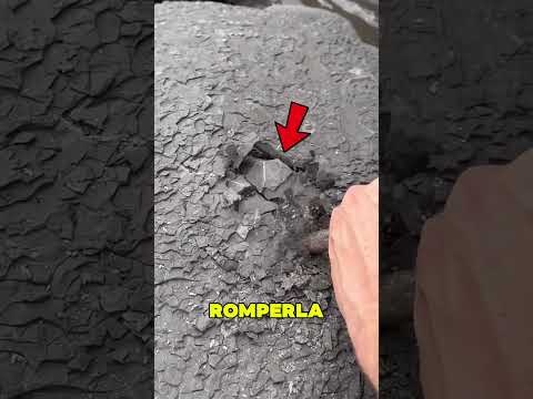 Encontró Un Tesoro Dentro De Una Piedra 😱⚒️