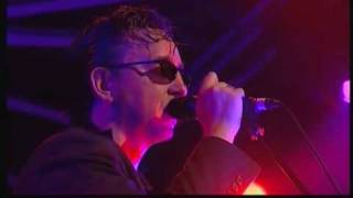 Richard Hawley - 08 Lady Solitude &quot;Pro Shot&quot; (Live At FIB Festival 08)