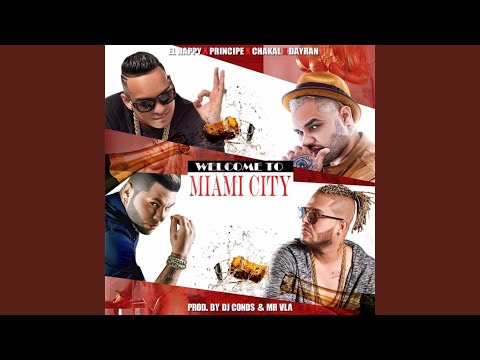 Welcome To Miami City