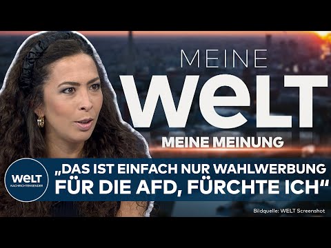 ANNA SCHNEIDER: "Wirkt wie eine Parallelwelt" – Kritik an Anti-AfD-Aktion von Unternehmen | MEINUNG