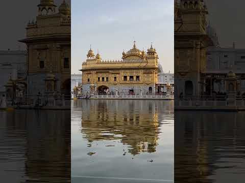 Golden Temple | Amritsar #shortvideo #featureme
