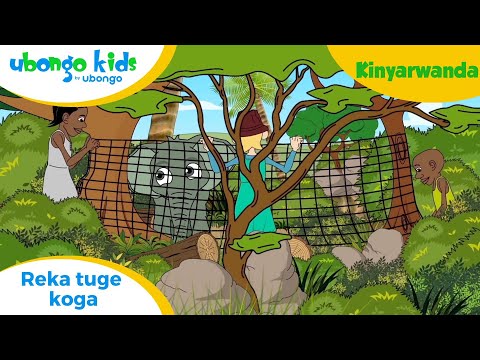 Agace ka 3 (Kinyarwanda): Reka tuge koga! | Isuku | Ubongo Kids Learning