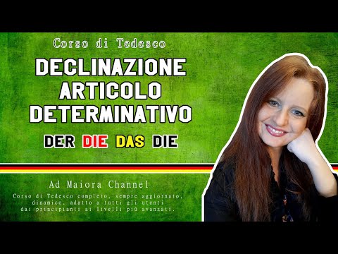 German Lesson 1 | What is a declension? | Definite article declension