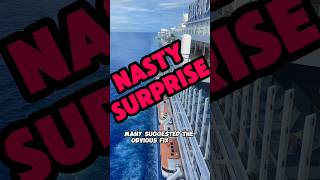Cruise Passenger HORRIFIED By Cabin Surprise!