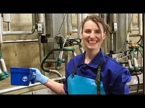 DLG-Bundeswettbewerb Melken 2023